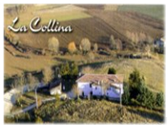 collina.jpg